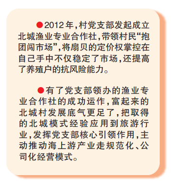 养扇贝工人多少钱一月_致富养殖赚钱扇贝是真的吗_致富经扇贝养殖赚钱