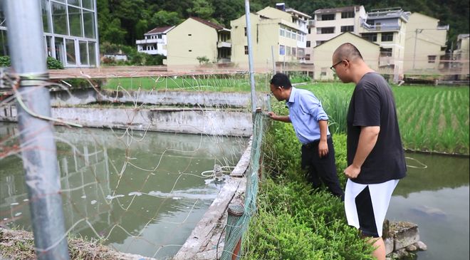 致富养殖青田项目有哪些_青田养殖业_青田养殖致富项目