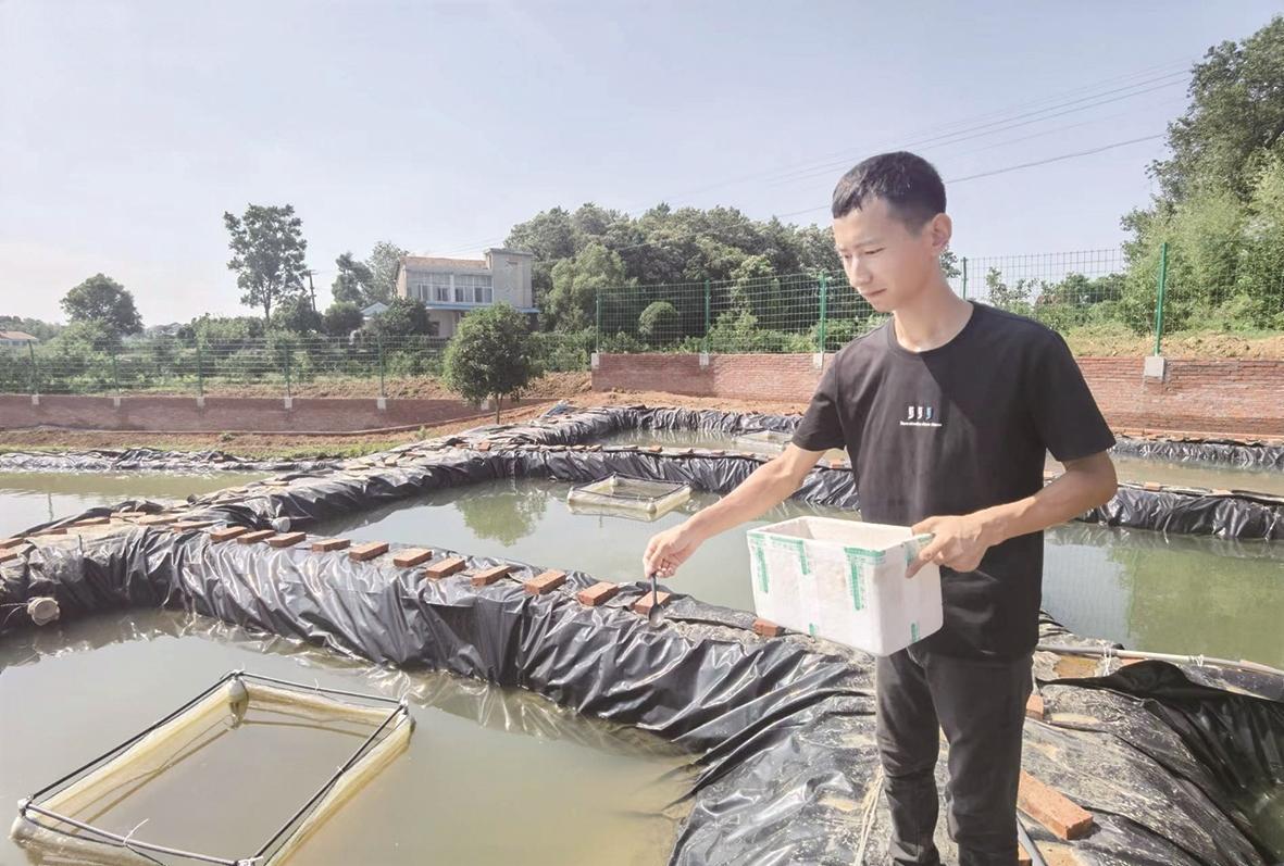 致富经鸸鹋养殖视频_致富经蛴螬养殖视频_养殖鳑鲏致富