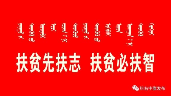 【脱贫攻坚】良种繁育收益高 让牛产业更“牛气”