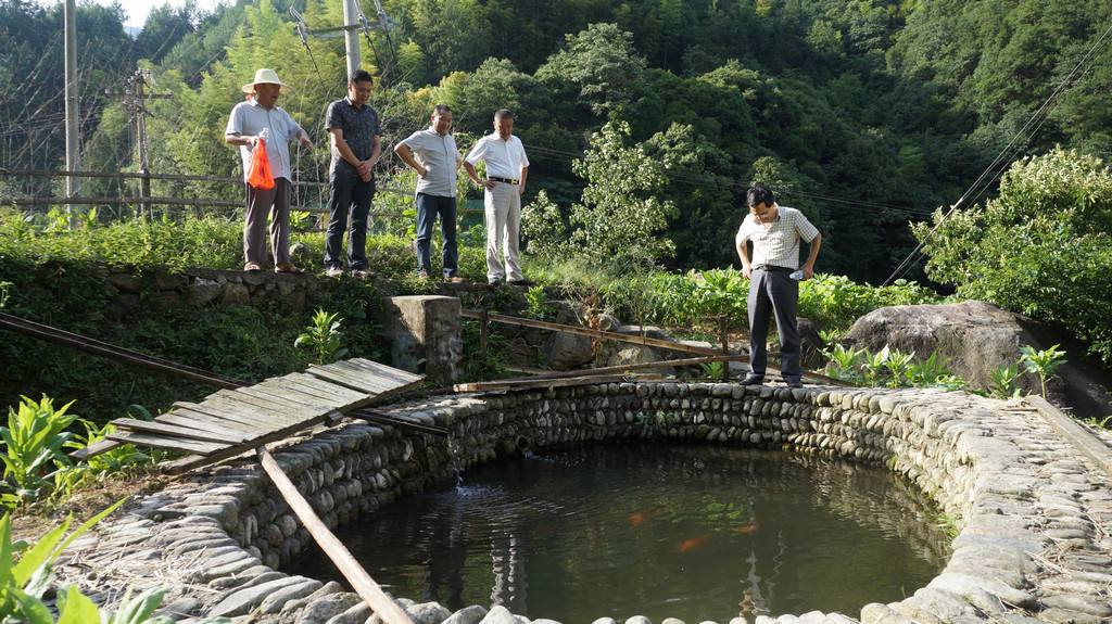 广西山泉水养草鱼_致富经广西山区养鱼_广西山泉水养鱼致富经