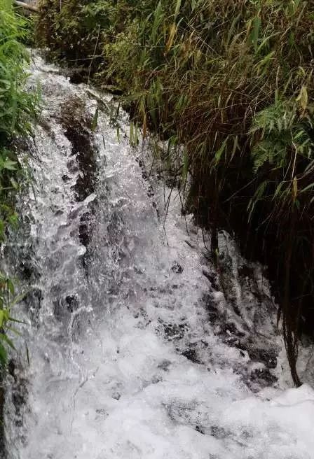 广西泉水鱼养殖基地_致富经广西山区养鱼_广西山泉水养鱼致富经