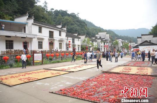 广西泉水鱼养殖基地_广西山泉水养鱼致富经_来宾山泉水养鱼