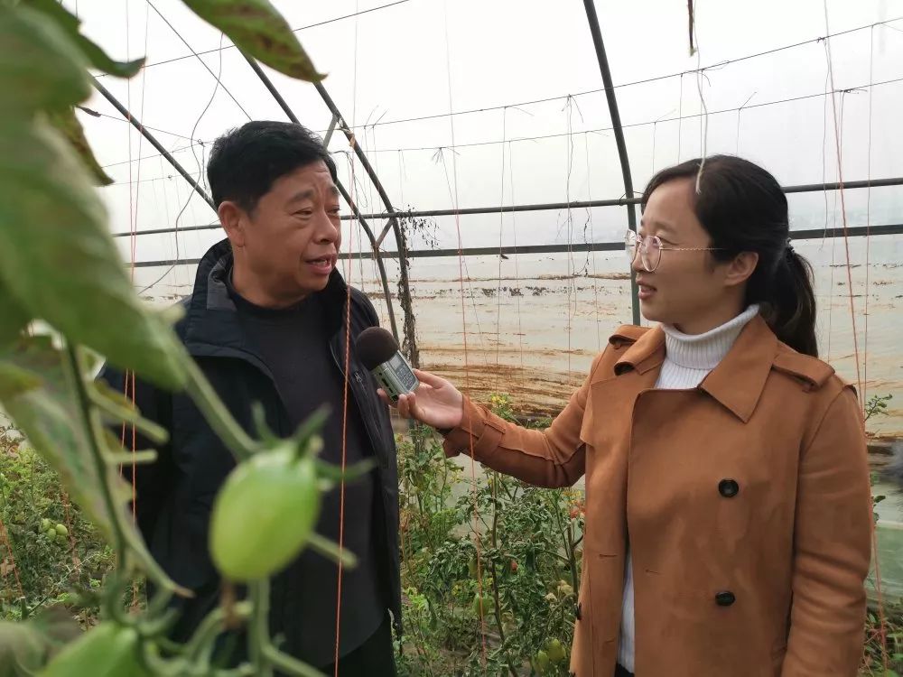 致富水果种植大量销售_大量种植水果致富_致富水果种植大量种子