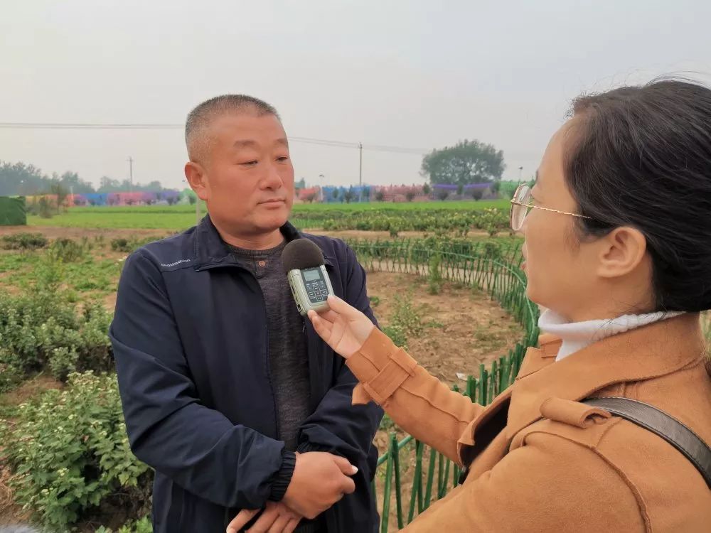 大量种植水果致富_致富水果种植大量种子_致富水果种植大量销售