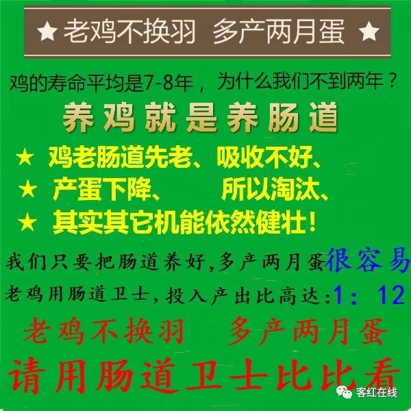 全面“禁野”之后！这些养殖户快哭了，交易市场关闭，养殖场封闭