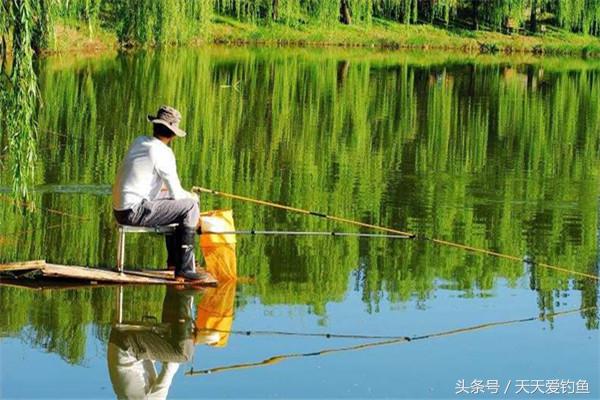 篮子鱼养殖技术_篮子鱼养殖技术资料书_养殖篮子鱼技术要点