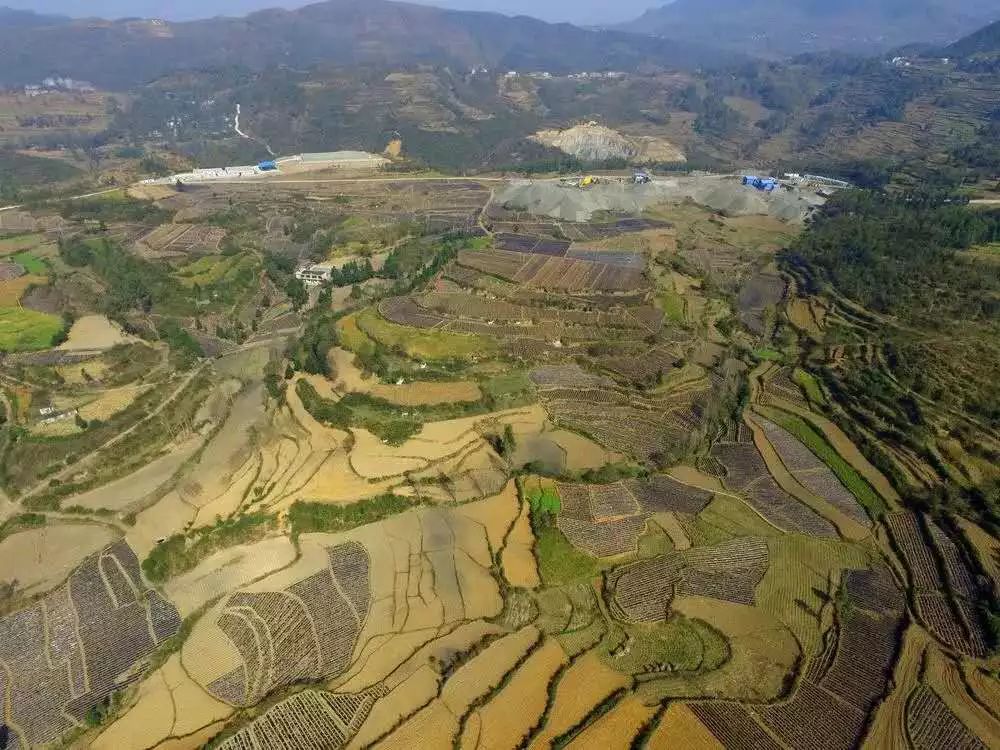 中药种植引领发展之路 ——大方县中药材产业发展综述