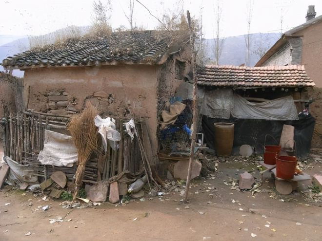 致富养殖绿土鸡黑鸡图片_致富经养殖五黑一绿土鸡_绿色养殖鸡