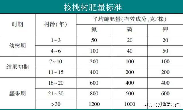 核桃树栽培技术｜早实核桃施肥时期、施肥量及施肥方法