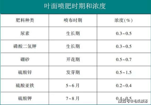 种植核桃的技术_薄壳山核桃种植技术_核桃种植技术视频教程