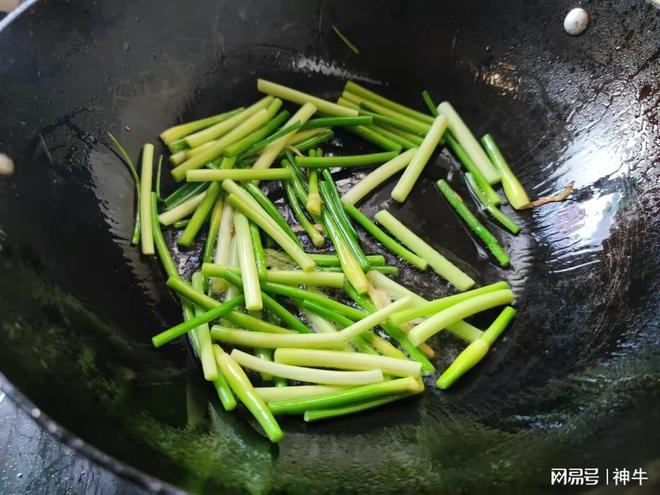 芹菜种植春天技术与管理_春天芹菜种植技术_芹菜种植春天技术要点