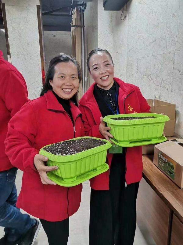 盆栽种植佛手技术视频_盆栽种植佛手技术要求_盆栽种植技术佛手