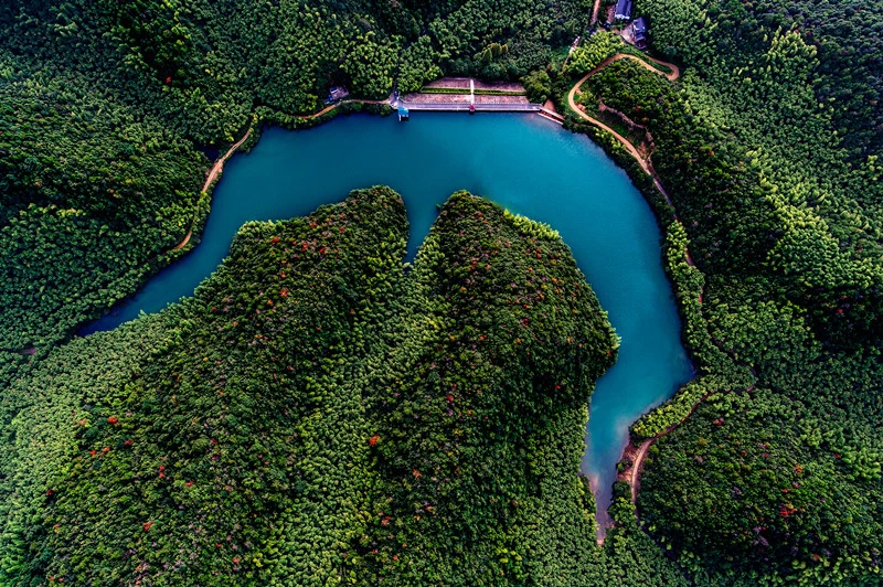 杭州种植基地_杭州种植致富项目_种植致富案例