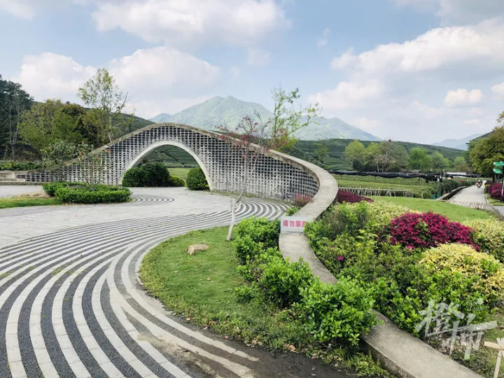 杭州种植致富项目_杭州种植什么_杭州种植技术