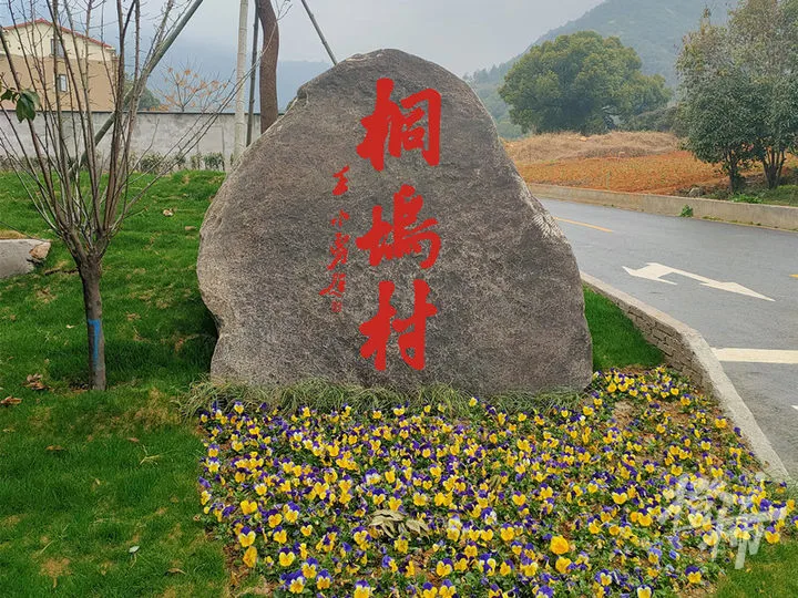 杭州种植致富项目_杭州种植技术_杭州种植什么