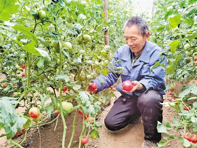 棚里圈里生产忙 产销对接市场旺