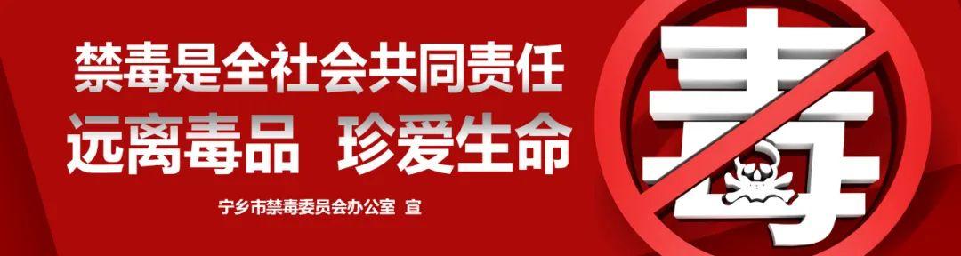 2020年致富金点子_金点子致富经_致富新项目金点子