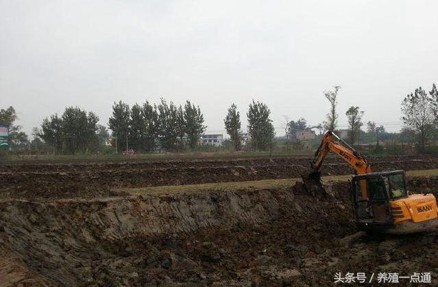 养殖泥鳅资料技术与管理_养殖泥鳅技术资料_养殖泥鳅需要具备哪些条件