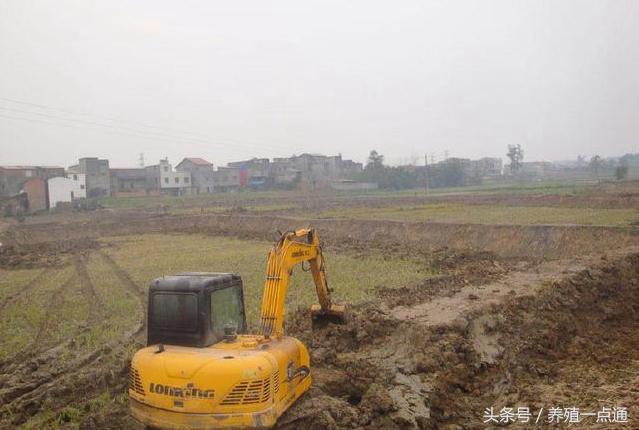 养殖泥鳅资料技术与管理_养殖泥鳅技术资料_养殖泥鳅需要具备哪些条件