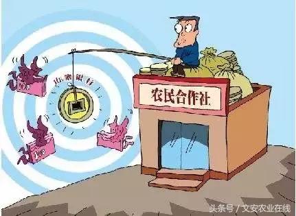 农业圈10大惊天骗局，你中招了吗？