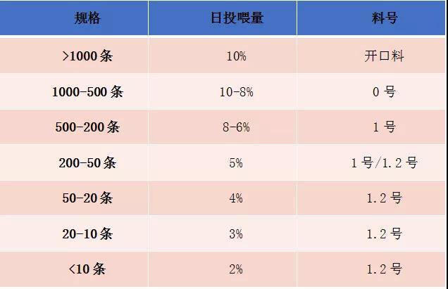 养殖泥鳅资料技术与管理_养殖泥鳅资料技术要求_养殖泥鳅技术资料