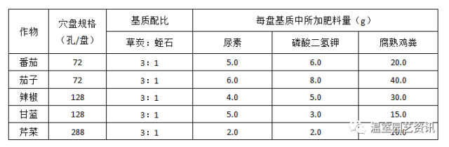 洋葱种苗方法_洋葱种植育苗技术与管理_洋葱种植技术怎么育苗