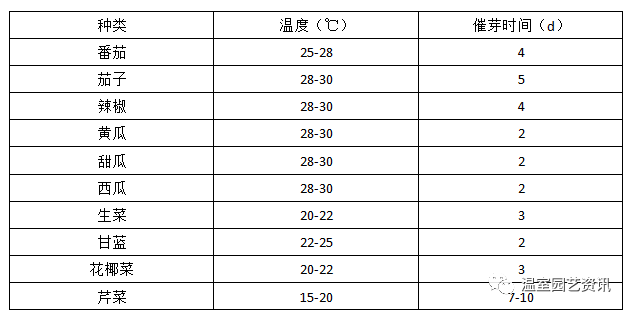 洋葱种植技术怎么育苗_洋葱种植育苗技术与管理_洋葱种苗方法