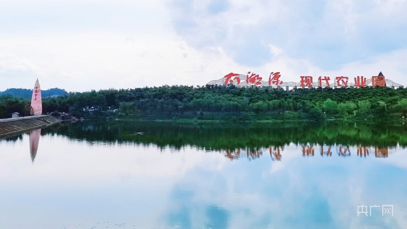 杭州种植基地_杭州种植致富项目_致富种植杭州项目有哪些