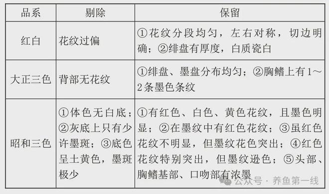 养殖水花锦鲤技术视频_水花锦鲤水花养殖技术_锦鲤水花养殖技术