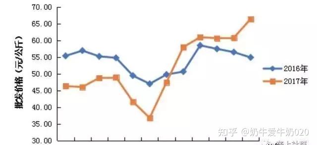 龙虾养殖鱼塘技术要求_龙虾养殖塘图片_龙虾鱼塘养殖技术