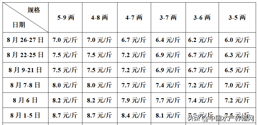 山东鳜鱼养殖技术_养殖山东鳜鱼技术与管理_山东鳜鱼养殖基地