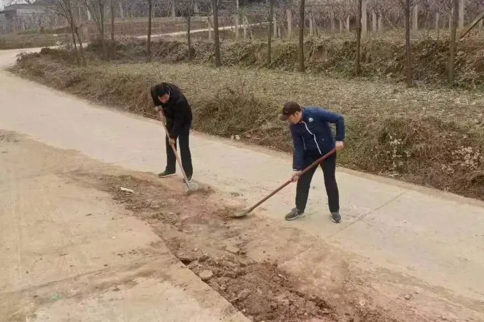 致富经种植亩收入过亿_种植致富经_周至种植致富