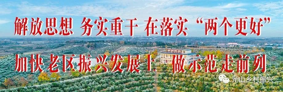 芡实种植致富报道_种植芡实市场前景好吗_致富种植报道芡实视频