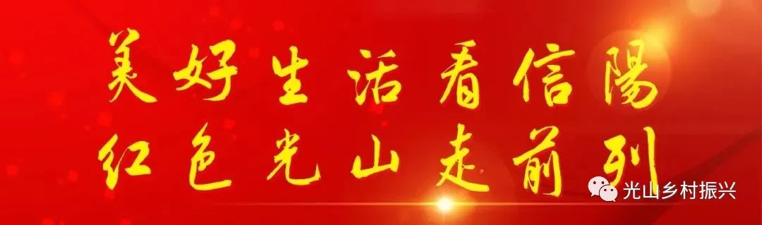 致富种植报道芡实视频_种植芡实市场前景好吗_芡实种植致富报道