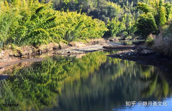 致富经稻田养黄鳝视频_cctv7致富经养黄鳝_致富经鳝鱼养殖视频