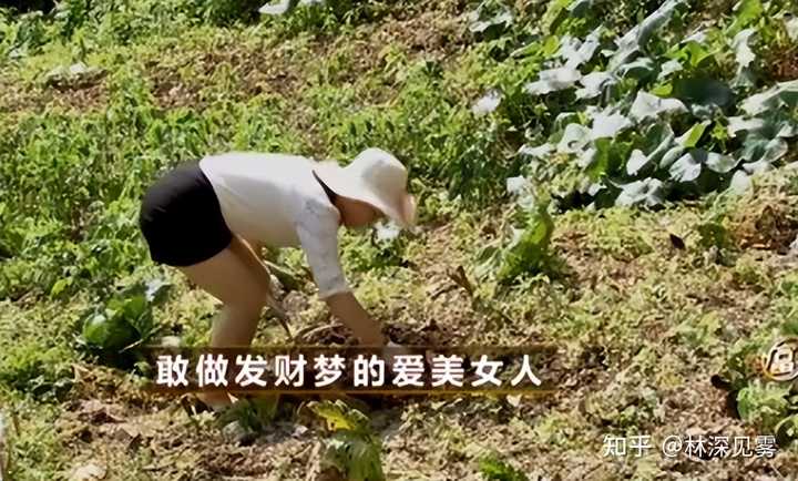 黄粉虫养殖技术与销售_黄粉虫养殖技术与销售_黄粉虫养殖技术与销售