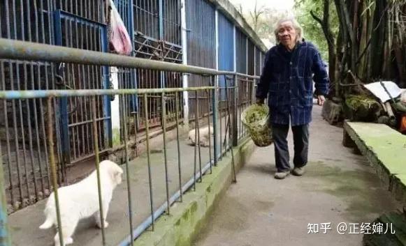 他14年前央视出道，挥霍全部身家，只为10元钱：这苦守32年的故事