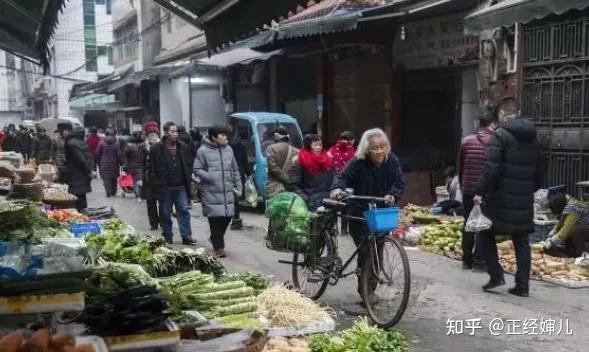 养殖豪猪赚钱吗_豪猪养殖致富经_致富养殖豪猪图片