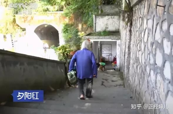 养殖豪猪赚钱吗_致富养殖豪猪图片_豪猪养殖致富经