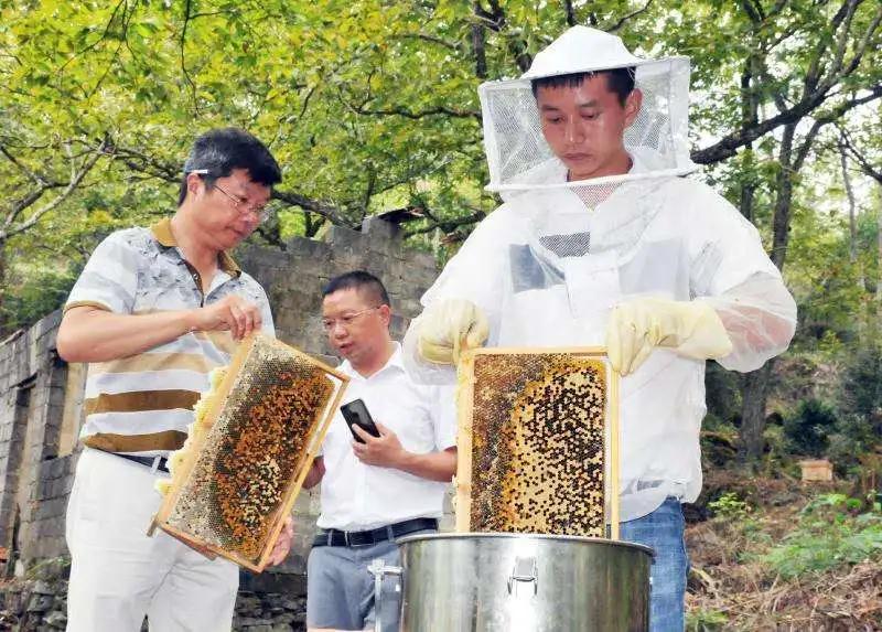 《致富经》 青蛙_《致富经》 青蛙_《致富经》 青蛙