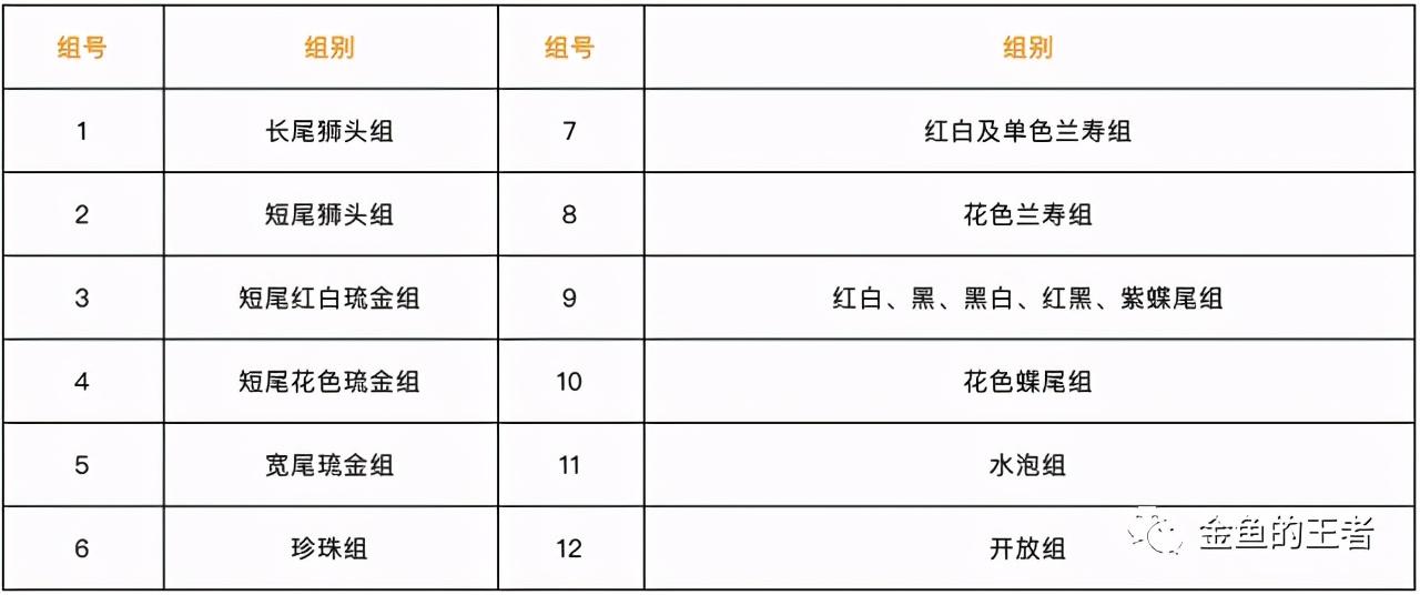 致富经养观赏金鱼_观赏金鱼养殖技术视频_致富观赏金鱼养几条