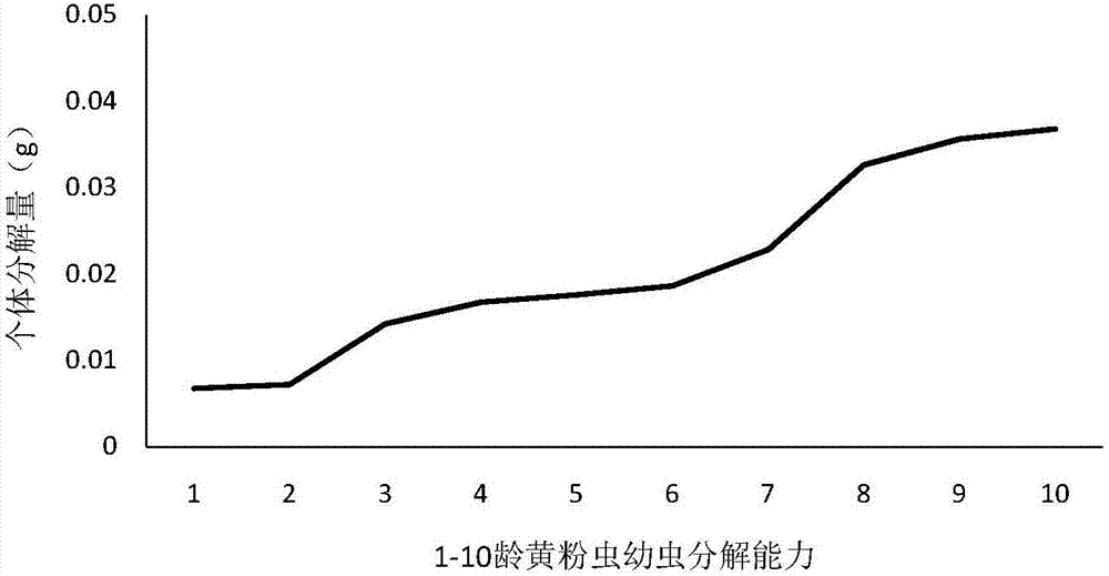 一种黄粉虫的饲养方法与流程