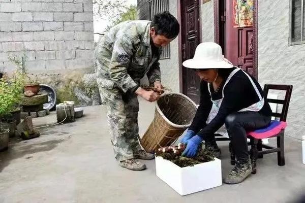 金刺梨种植前景_金刺梨种植致富_致富种植金刺梨怎么样