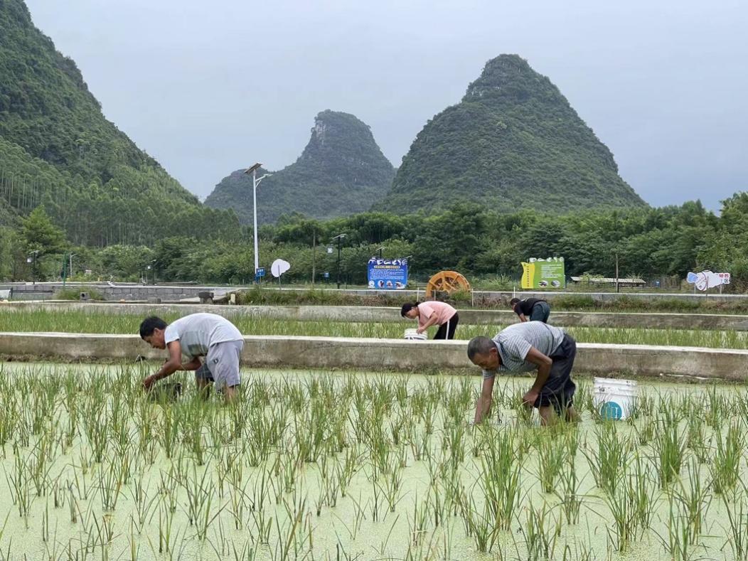 致富经养殖户联系方式_致富养殖信息_致富养殖户联系方式怎么写