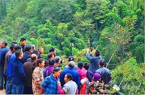 专家走进核桃林 技术送到家门口 ——雨城区八步乡李家村核桃种植见闻