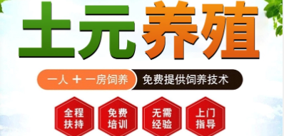 河南新乡土元养殖技术_新乡市土元养殖示范基地怎么样_新乡土元养殖基地魏斌