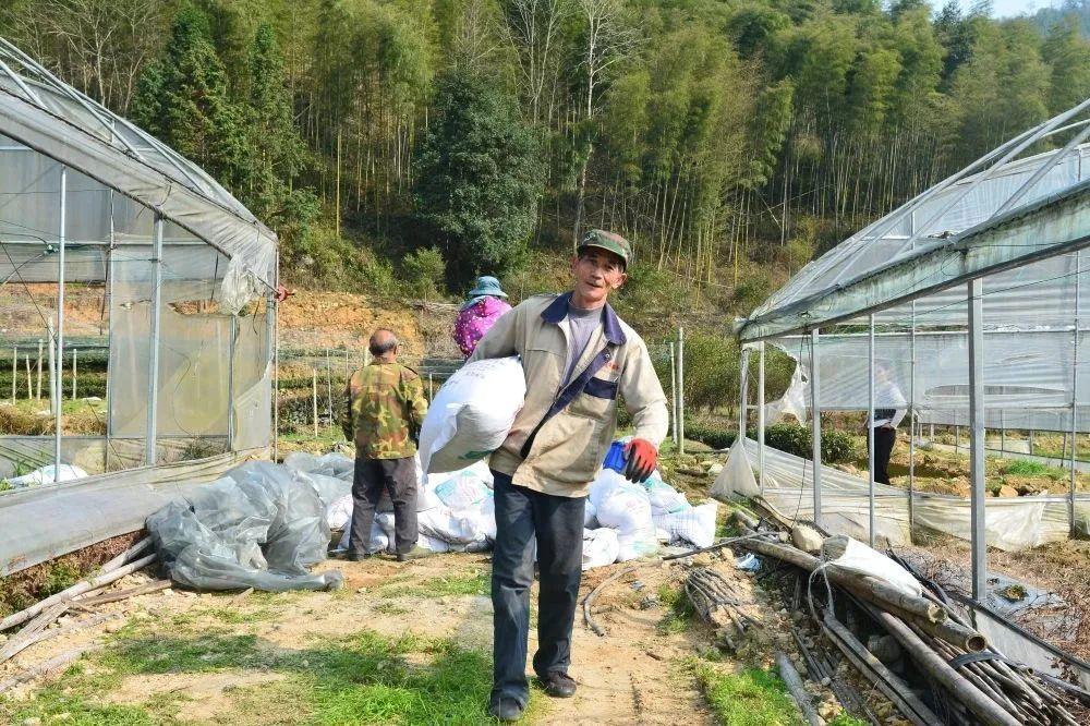 丝瓜种到土里怎么管理_丝瓜无土种植技术_丝瓜无土栽培技术