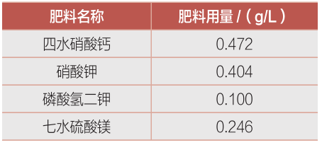 丝瓜无土种植技术_种植丝瓜土壤_丝瓜无土栽培技术