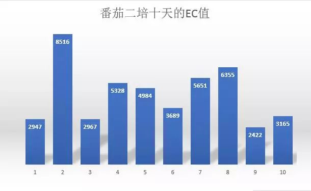 丝瓜无土种植技术_种丝瓜用什么土_丝瓜无土栽培技术